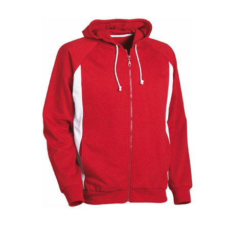 Hodies