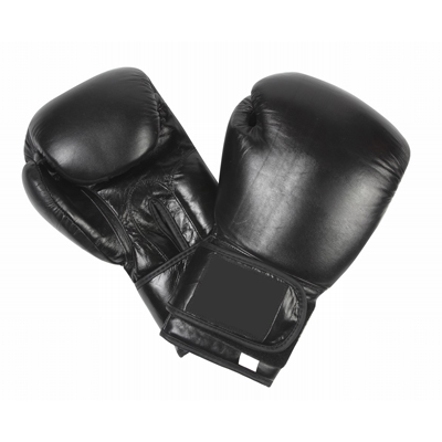 Boxing Gloves 