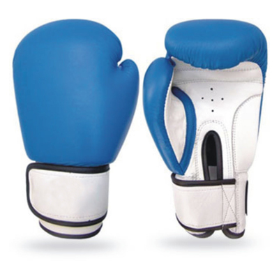 Boxing Gloves 