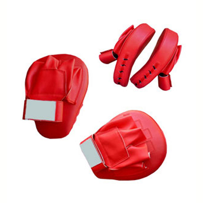 Focus Mitts