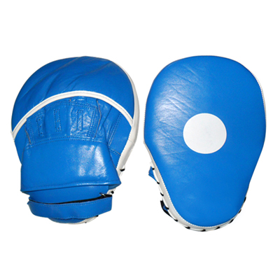 Focus Mitts