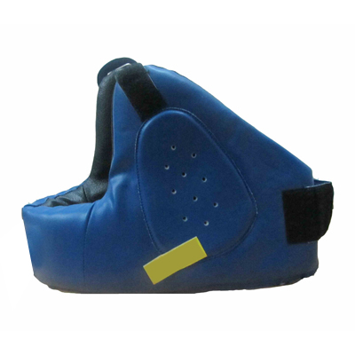 Head Guards